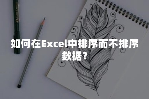 如何在Excel中排序而不排序数据？