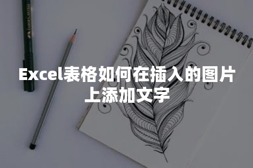 Excel表格如何在插入的图片上添加文字