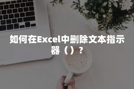 如何在Excel中删除文本指示器（）？