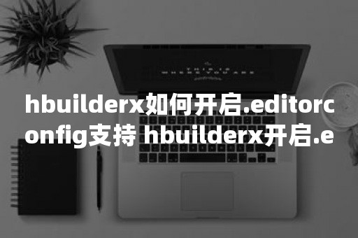 hbuilderx如何开启.editorconfig支持 hbuilderx开启.editorconfig支持教程