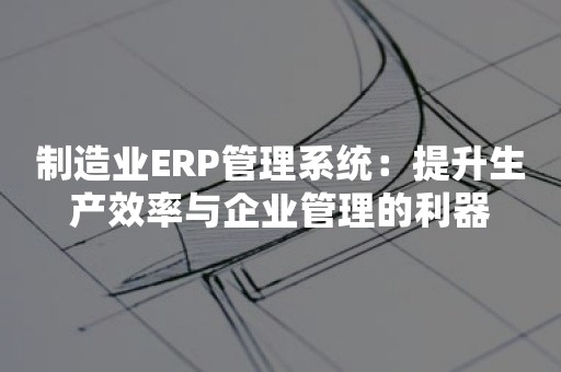 制造业ERP管理系统：提升生产效率与企业管理的利器