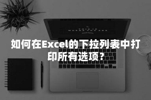 如何在Excel的下拉列表中打印所有选项？