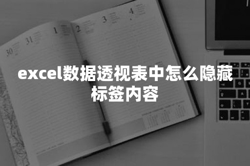 excel数据透视表中怎么隐藏标签内容