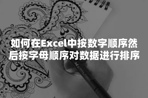 如何在Excel中按数字顺序然后按字母顺序对数据进行排序？