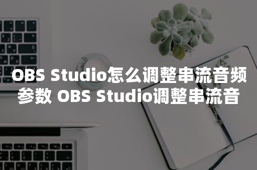 OBS Studio怎么调整串流音频参数 OBS Studio调整串流音频参数方法