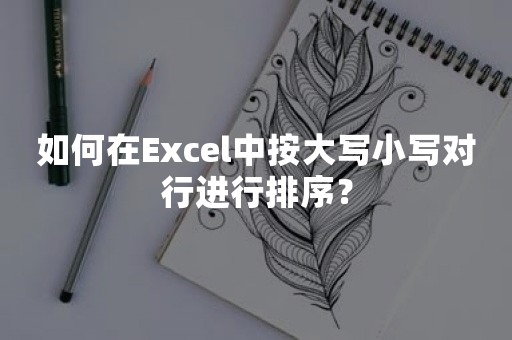 如何在Excel中按大写小写对行进行排序？