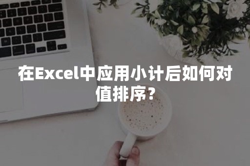 在Excel中应用小计后如何对值排序？