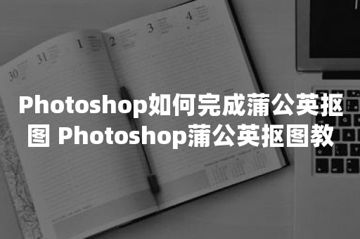 Photoshop如何完成蒲公英抠图 Photoshop蒲公英抠图教程