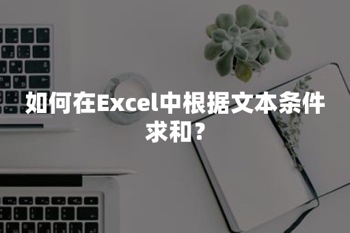 如何在Excel中根据文本条件求和？