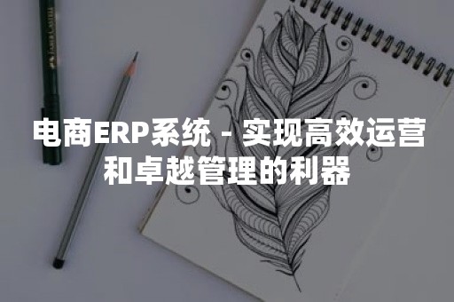 电商ERP系统 - 实现高效运营和卓越管理的利器