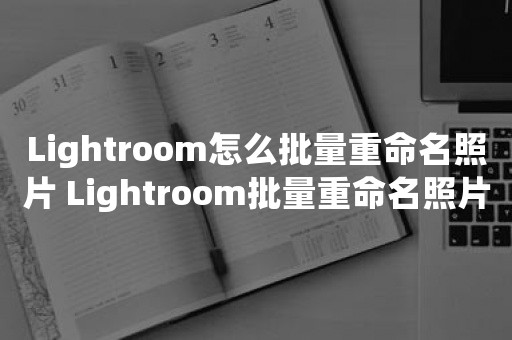 Lightroom怎么批量重命名照片 Lightroom批量重命名照片方法