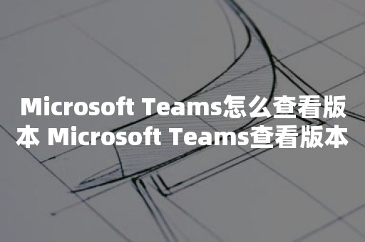 Microsoft Teams怎么查看版本 Microsoft Teams查看版本教程