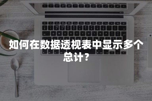 如何在数据透视表中显示多个总计？