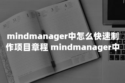 mindmanager中怎么快速制作项目章程 mindmanager中快速制作项目章程的操作步骤