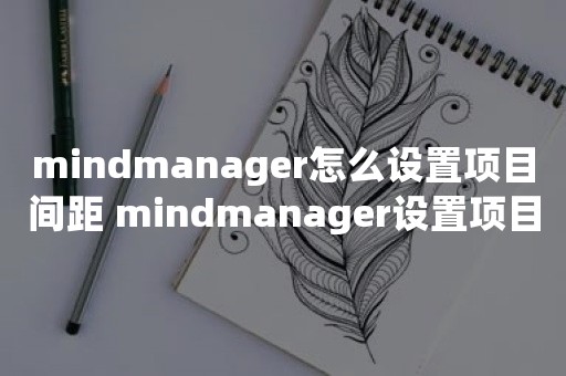 mindmanager怎么设置项目间距 mindmanager设置项目间距的方法