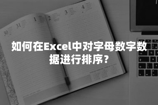 如何在Excel中对字母数字数据进行排序？