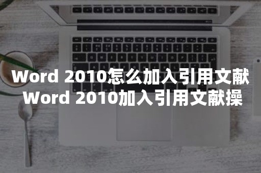 Word 2010怎么加入引用文献 Word 2010加入引用文献操作过程