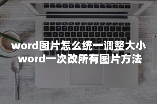 word图片怎么统一调整大小 word一次改所有图片方法