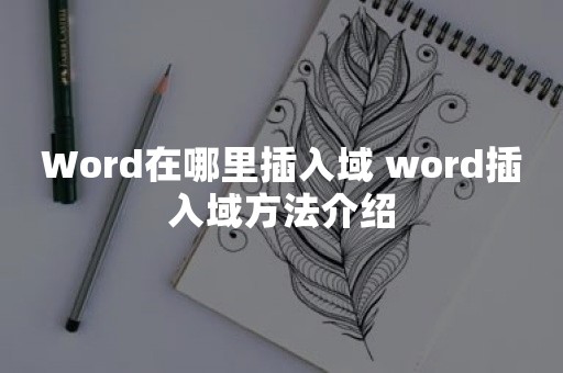 Word在哪里插入域 word插入域方法介绍