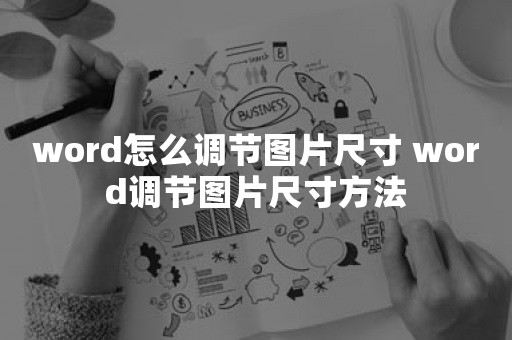 word怎么调节图片尺寸 word调节图片尺寸方法