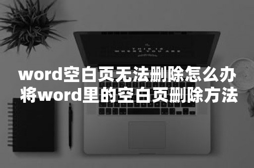 word空白页无法删除怎么办 将word里的空白页删除方法