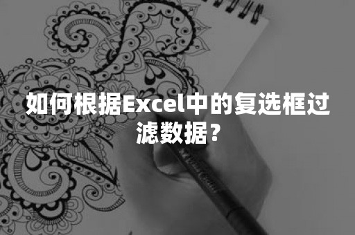 如何根据Excel中的复选框过滤数据？