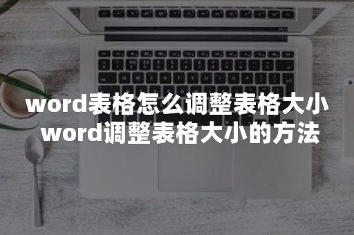 word表格怎么调整表格大小 word调整表格大小的方法