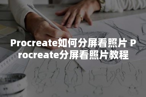 Procreate如何分屏看照片 Procreate分屏看照片教程