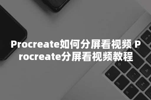 Procreate如何分屏看视频 Procreate分屏看视频教程