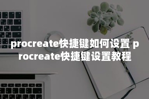 procreate快捷键如何设置 procreate快捷键设置教程