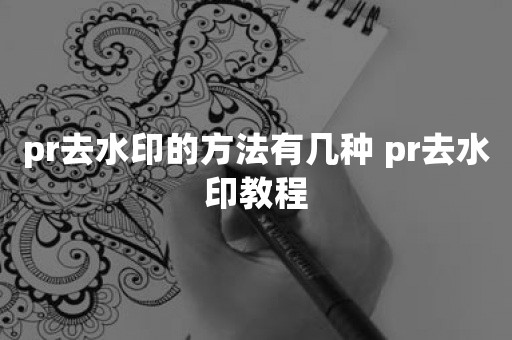 pr去水印的方法有几种 pr去水印教程