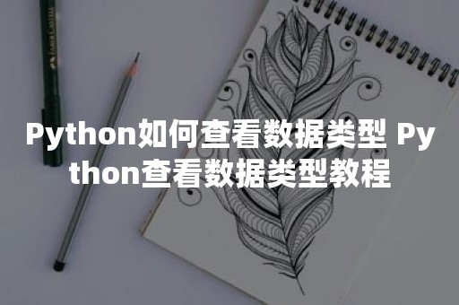 Python如何查看数据类型 Python查看数据类型教程