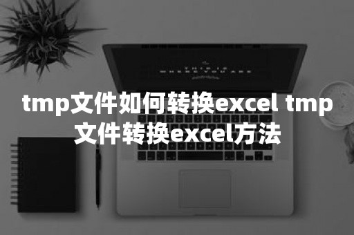 tmp文件如何转换excel tmp文件转换excel方法