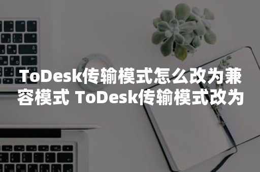 ToDesk传输模式怎么改为兼容模式 ToDesk传输模式改为兼容模式方法