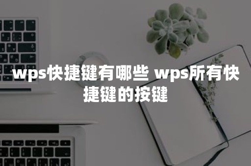 wps快捷键有哪些 wps所有快捷键的按键