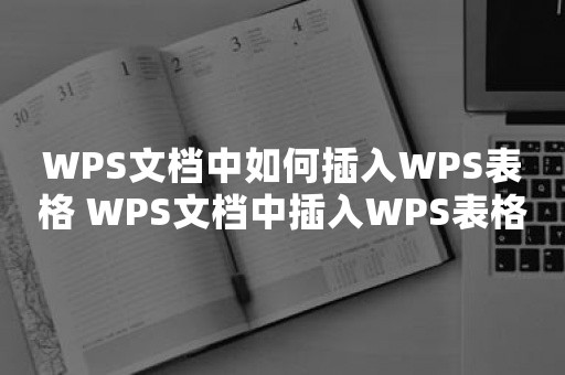 WPS文档中如何插入WPS表格 WPS文档中插入WPS表格的方法