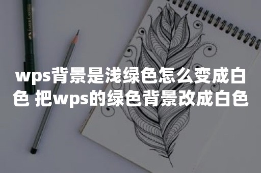 wps背景是浅绿色怎么变成白色 把wps的绿色背景改成白色的方法