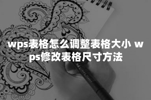 wps表格怎么调整表格大小 wps修改表格尺寸方法