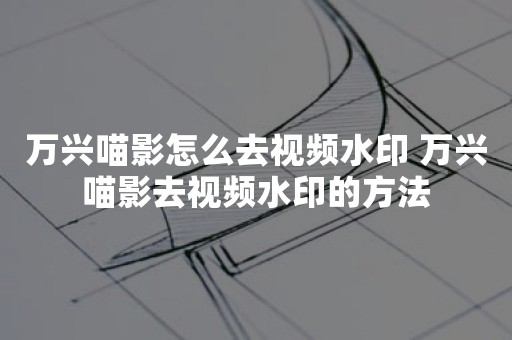 万兴喵影怎么去视频水印 万兴喵影去视频水印的方法