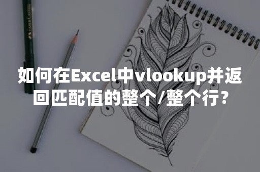 如何在Excel中vlookup并返回匹配值的整个/整个行？