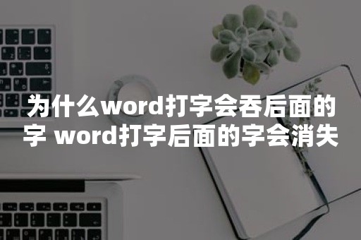 为什么word打字会吞后面的字 word打字后面的字会消失原因分析