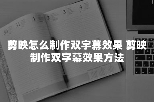 剪映怎么制作双字幕效果 剪映制作双字幕效果方法