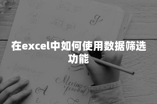 在excel中如何使用数据筛选功能