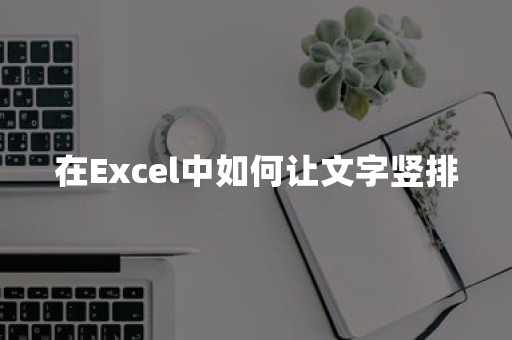 在Excel中如何让文字竖排