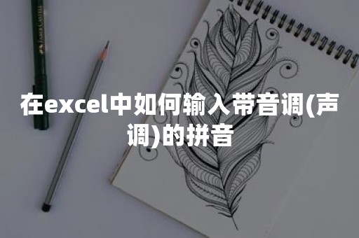 在excel中如何输入带音调(声调)的拼音