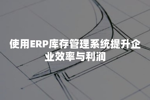 使用ERP库存管理系统提升企业效率与利润