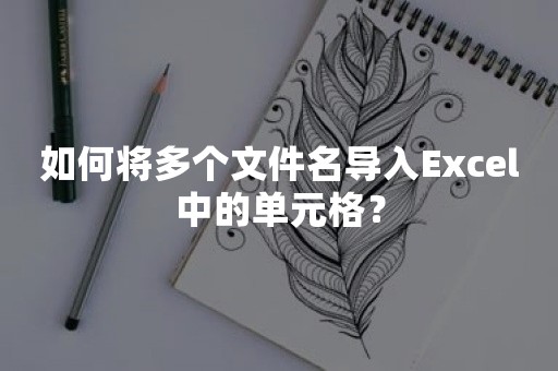 如何将多个文件名导入Excel中的单元格？