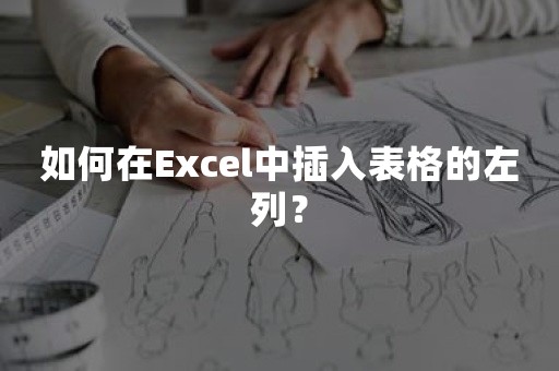 如何在Excel中插入表格的左列？