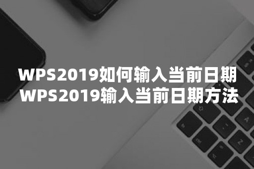 WPS2019如何输入当前日期 WPS2019输入当前日期方法