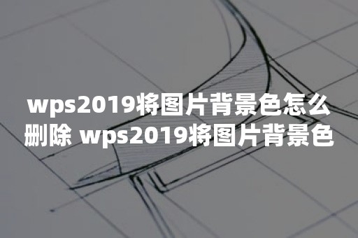 wps2019将图片背景色怎么删除 wps2019将图片背景色删除方法